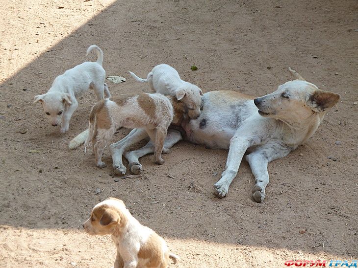 куда поехать отдыхать