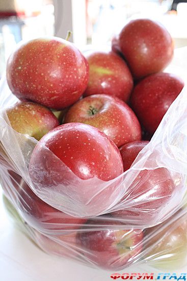 куда поехать отдыхать