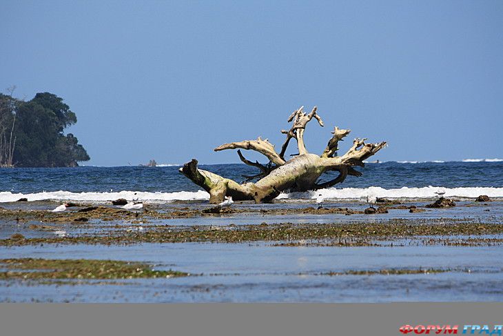 куда поехать отдыхать