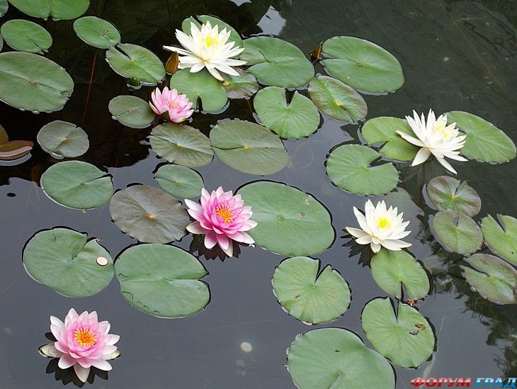 куда поехать отдыхать