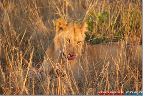 куда поехать отдыхать