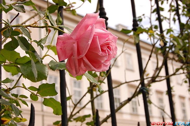 куда поехать отдыхать