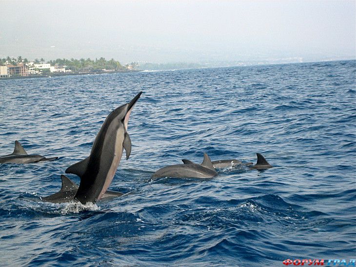 куда поехать отдыхать