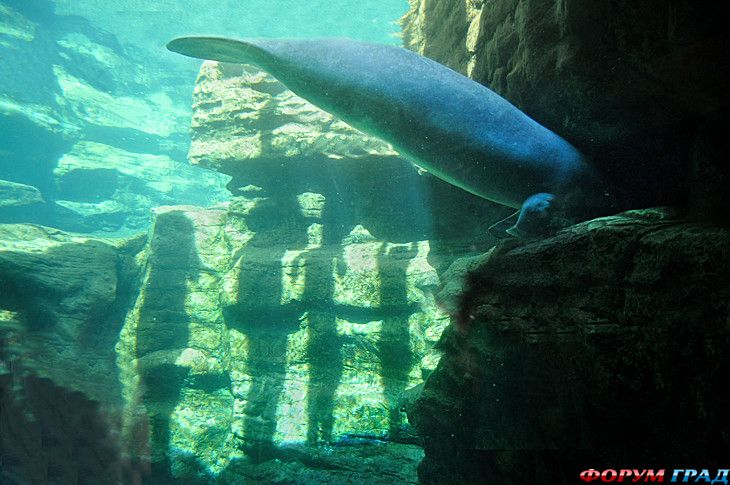 куда поехать отдыхать