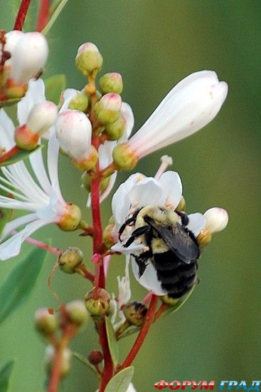 куда поехать отдыхать