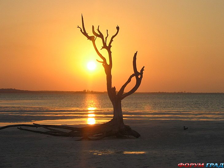 куда поехать отдыхать