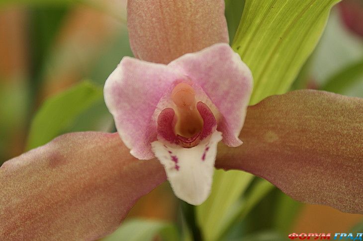 куда поехать отдыхать