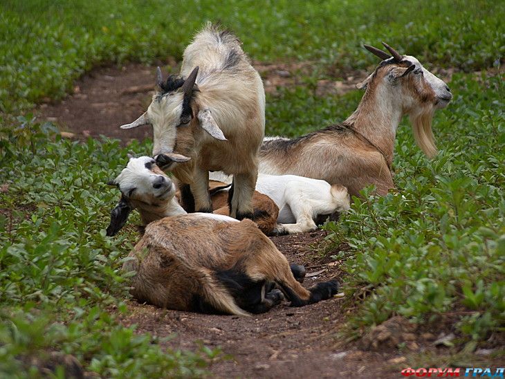 куда поехать отдыхать