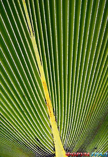 куда поехать отдыхать