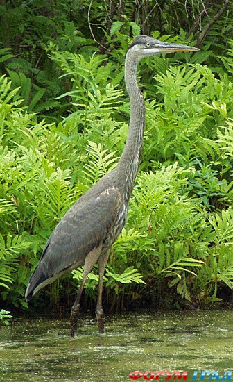 куда поехать отдыхать