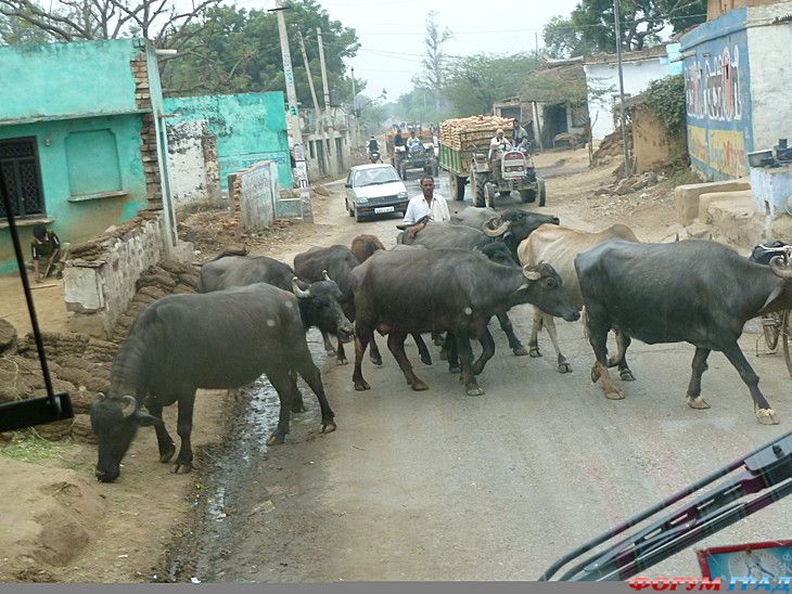 куда поехать отдыхать