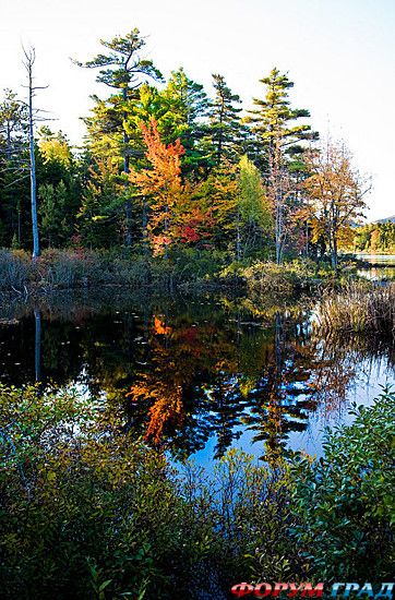 куда поехать отдыхать