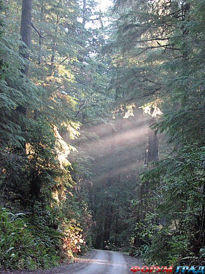 куда поехать отдыхать