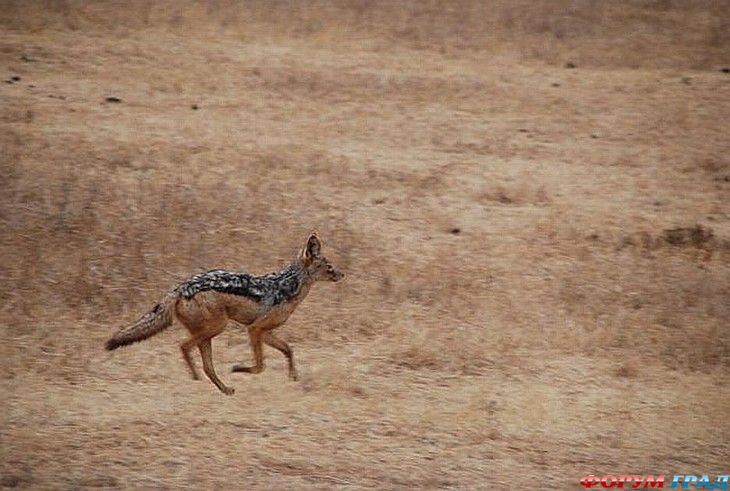 куда поехать отдыхать