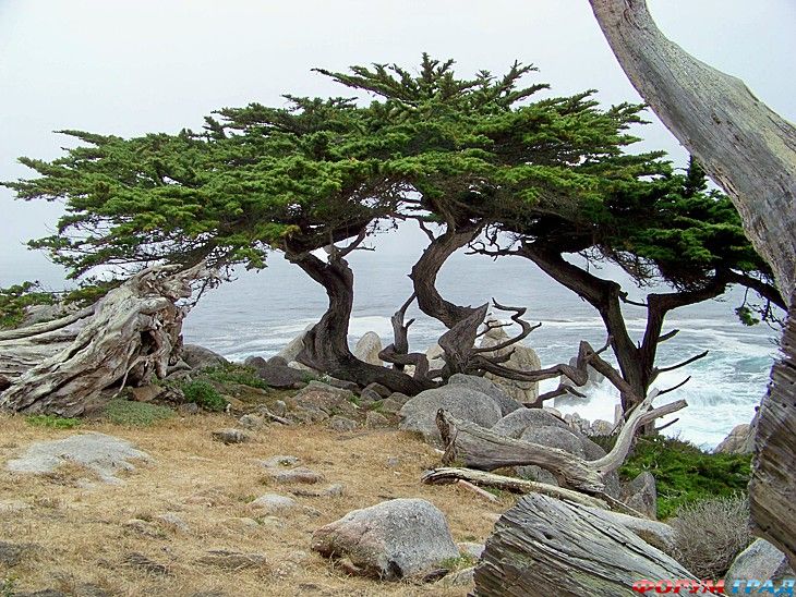 куда поехать отдыхать