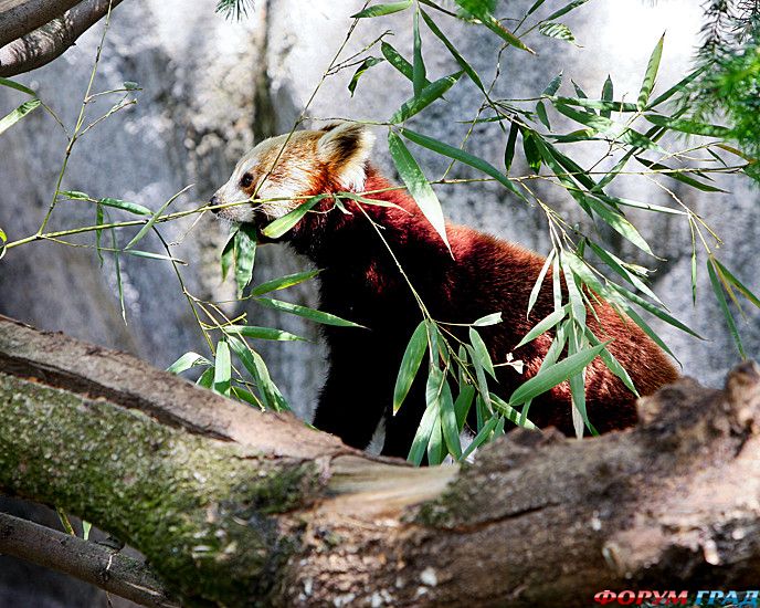 куда поехать отдыхать