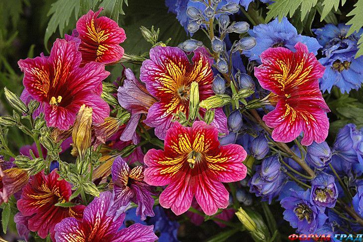 куда поехать отдыхать