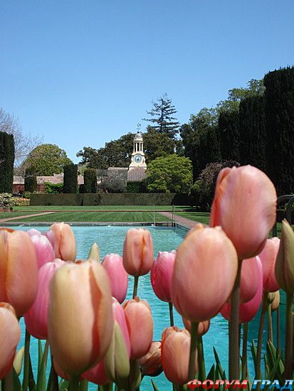 куда поехать отдыхать