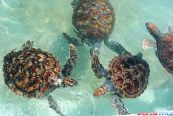 куда поехать отдыхать