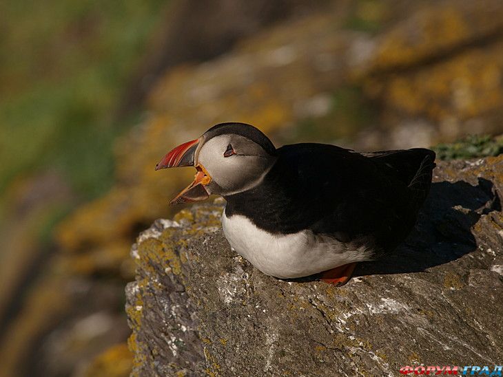 куда поехать отдыхать
