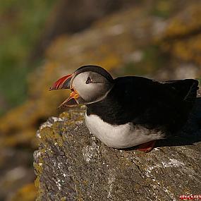 куда поехать отдыхать