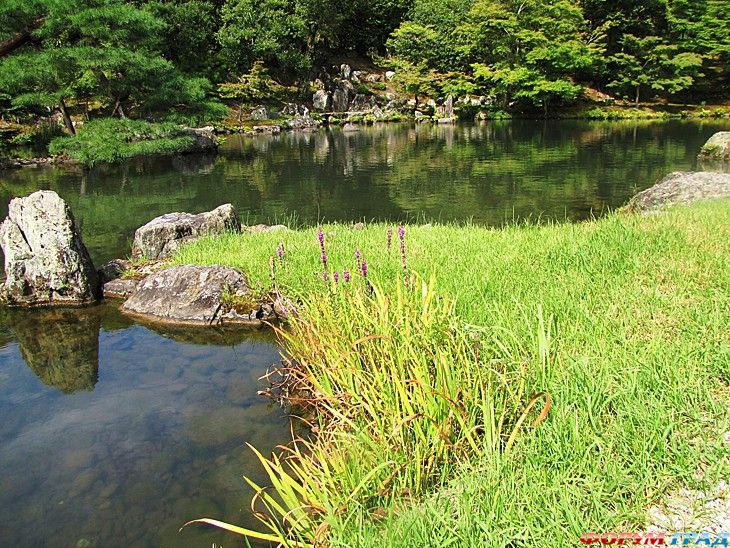 куда поехать отдыхать