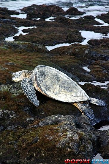 куда поехать отдыхать