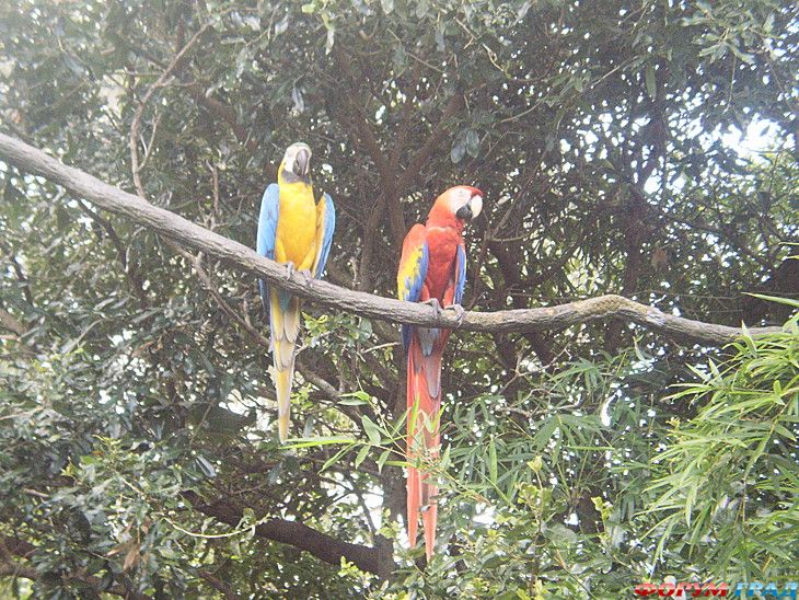 куда поехать отдыхать