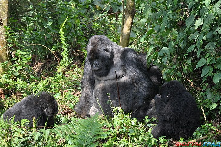 куда поехать отдыхать