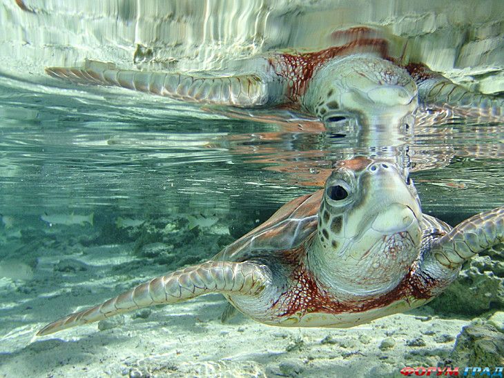 куда поехать отдыхать