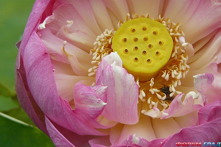 куда поехать отдыхать