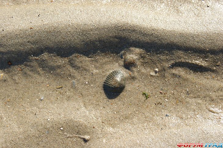 куда поехать отдыхать