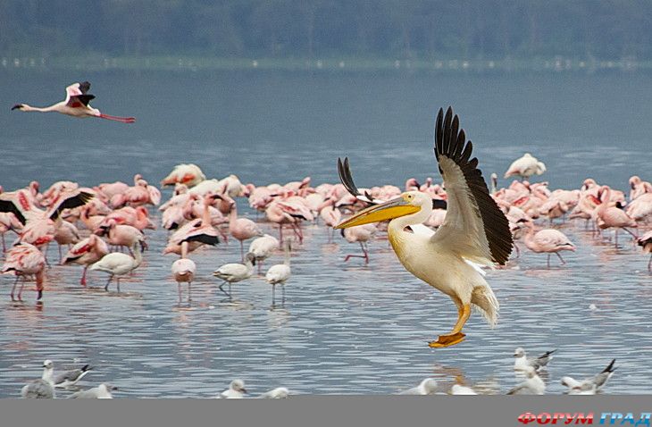 куда поехать отдыхать