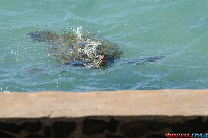 куда поехать отдыхать