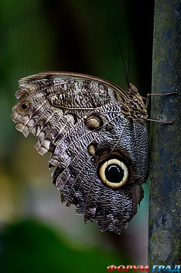 куда поехать отдыхать