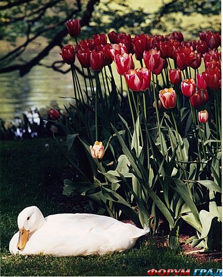 куда поехать отдыхать