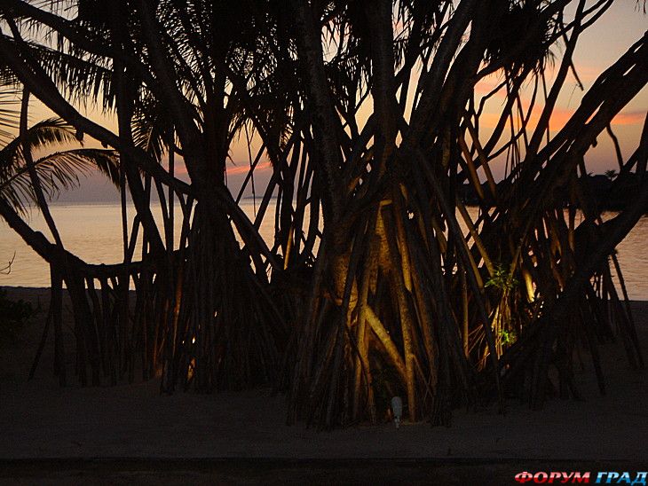 куда поехать отдыхать