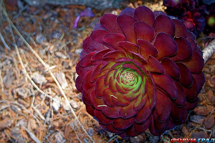 куда поехать отдыхать