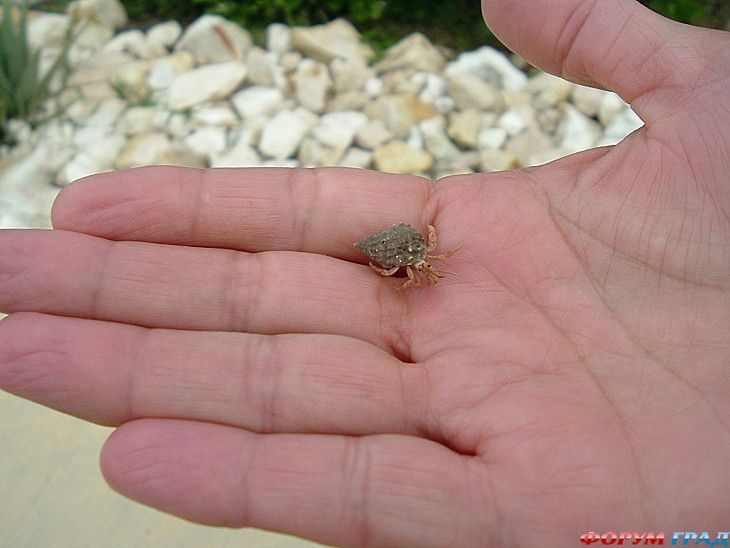 куда поехать отдыхать