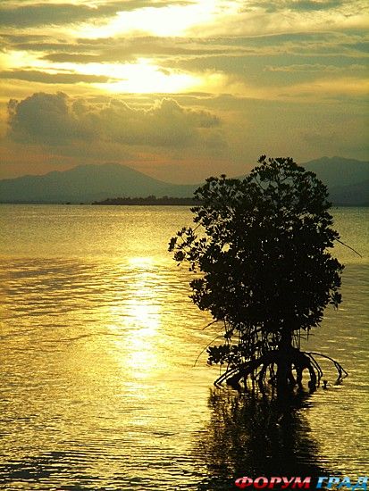 куда поехать отдыхать