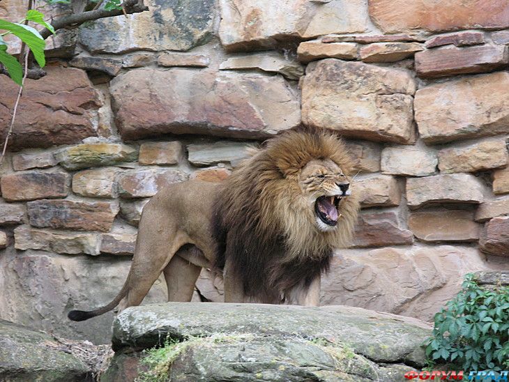 куда поехать отдыхать