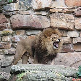 куда поехать отдыхать