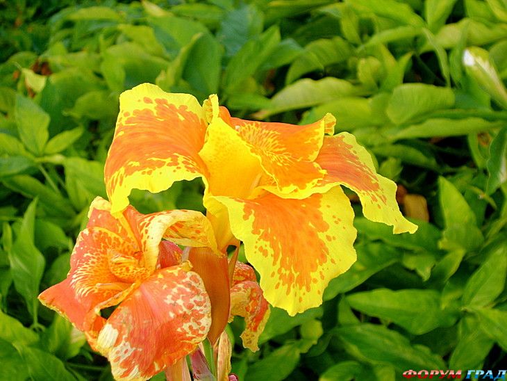 куда поехать отдыхать