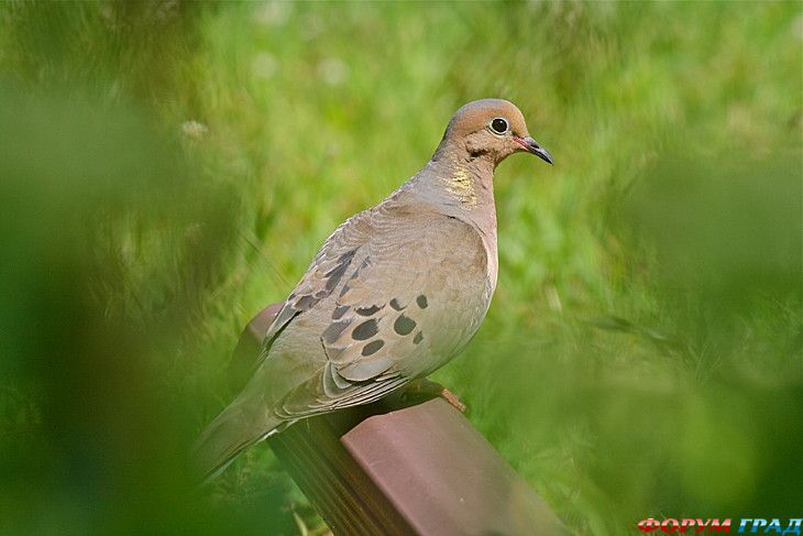 куда поехать отдыхать