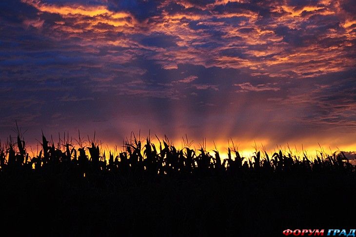 куда поехать отдыхать