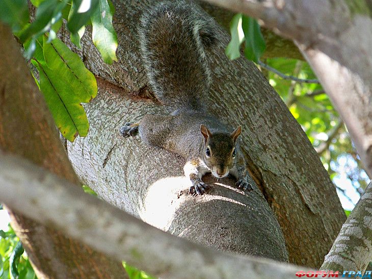 куда поехать отдыхать