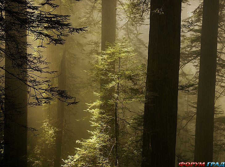куда поехать отдыхать