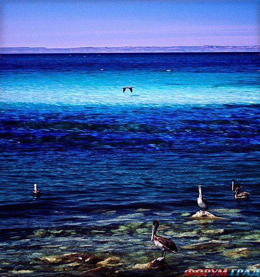 куда поехать отдыхать