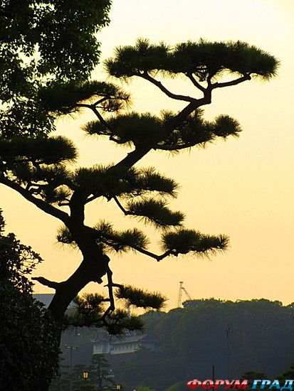 куда поехать отдыхать