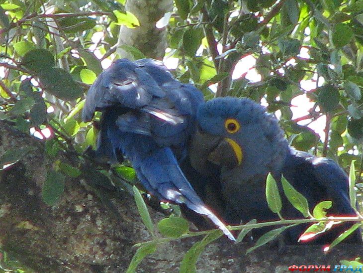 куда поехать отдыхать
